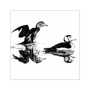 Anka Birds Wildlife Animal Wood Frimärke Stämpel