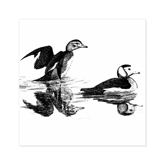 Anka Birds Wildlife Animal Wood Frimärke Stämpel (Tryck)
