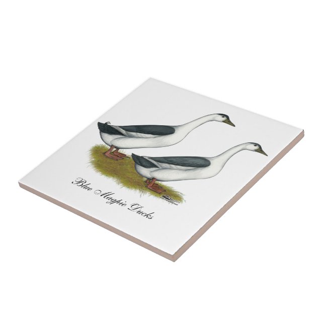 Anka: Blå magister Kakelplatta (Sidan)