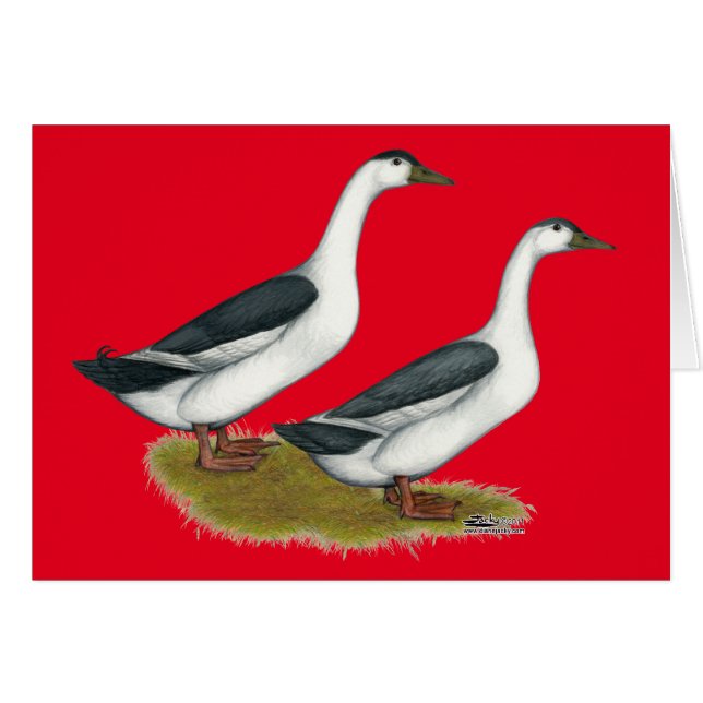 Anka: Blå magister OBS Kort (Framsidan Horizontal)