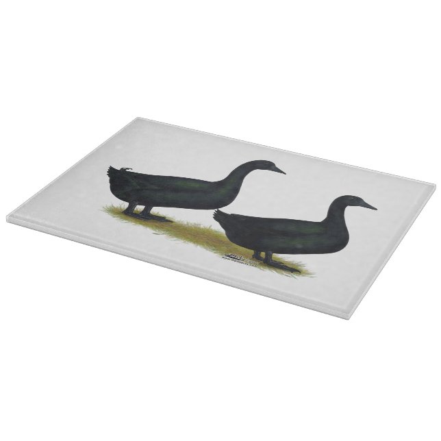 Anka: Black Cayugas (Hörn)