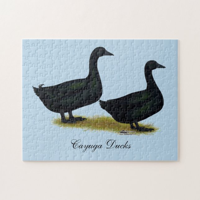 Anka: Black Cayugas Pussel (Horisontell)