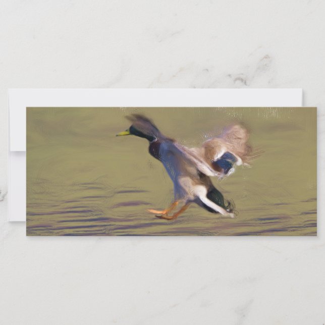 Anka BookMark (Framsida)