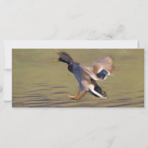 Anka BookMark