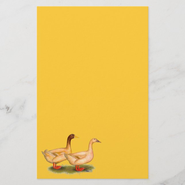 Anka: Buff Orpington Brevpapper (Framsida)