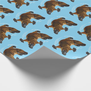 anka-buskad platypus presentpapper