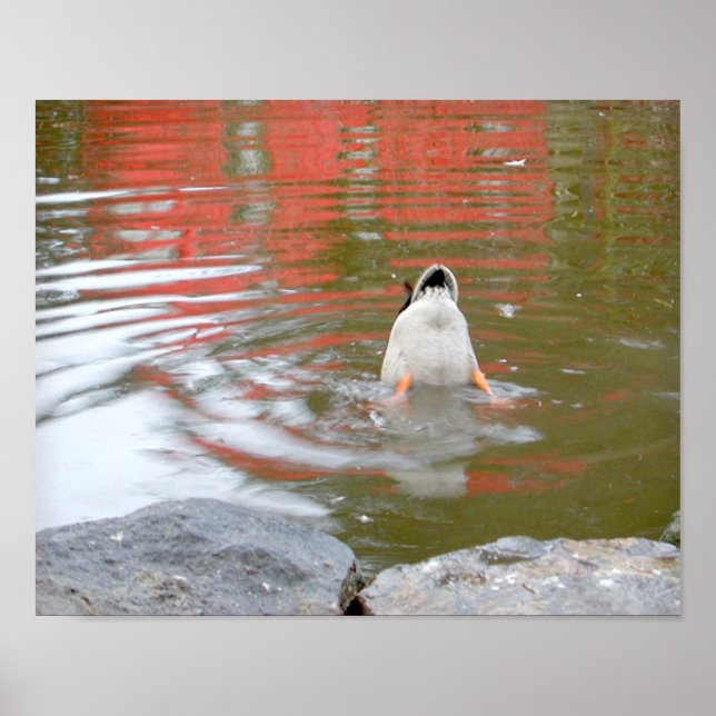 Anka Butt Poster (Framsidan)