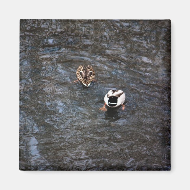 ANKA BUTTS MAGNET (Framsidan)