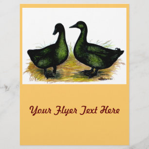 Anka: Cayuga Pair Reklamblad