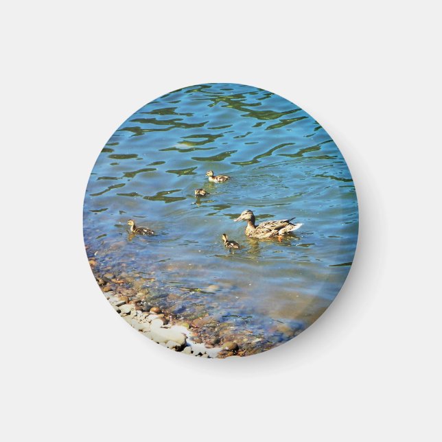 Anka familj magnet (Framsidan)