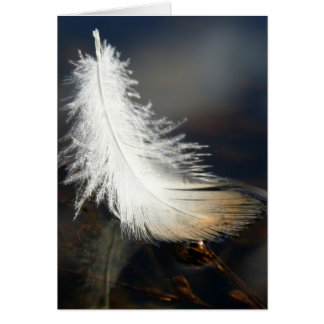 Anka Feather Hälsningskort