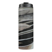 Anka Feather Photo Modern Black Grått Nature