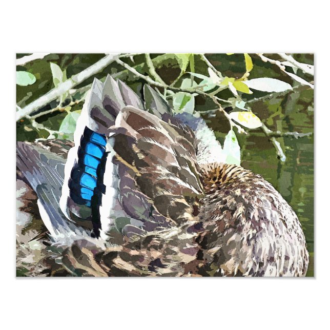 ANKA FEATHERS FOTOTRYCK (Framsidan)