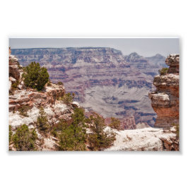 Anka Grand View Fototryck