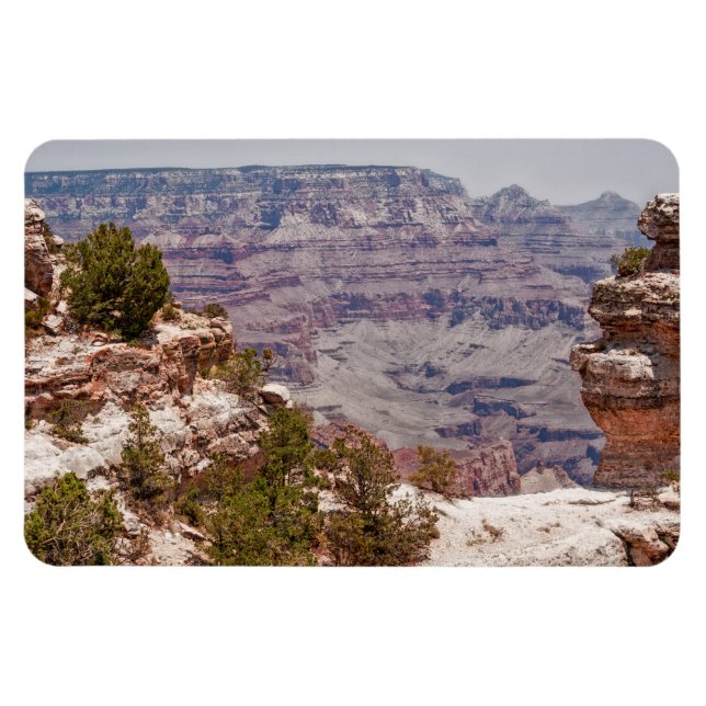 Anka Grand View Magnet (Horisontell)