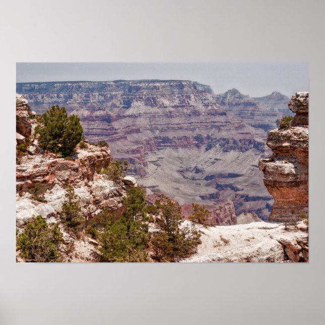 Anka Grand View Poster (Framsidan)