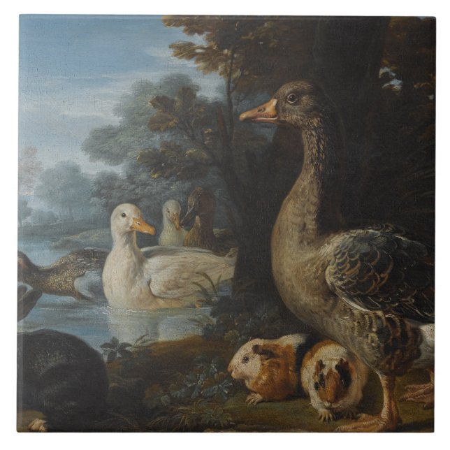 Anka Guinea Grisar och en kanin i ett trädbevuxet  Kakelplatta (Framsidan)