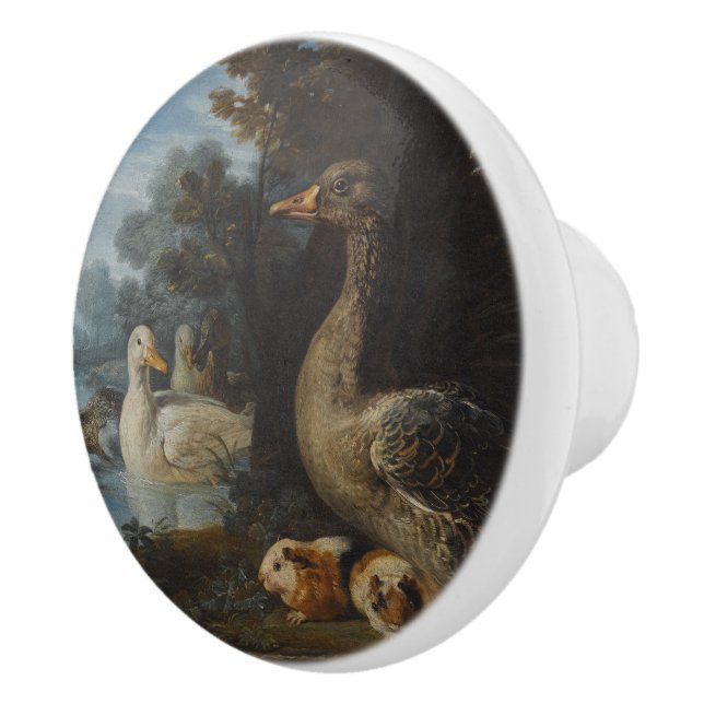 Anka Guinea Grisar och en kanin i ett trädbevuxet  Knopp (Höger)