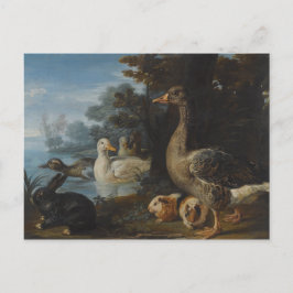 Anka Guinea Grisar och en kanin i ett trädbevuxet Vykort