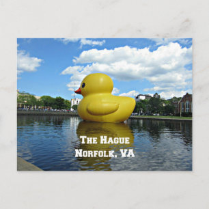Anka i Haag, Norfolk, VA Vykort