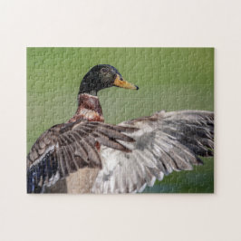 Anka i Hudsondalen Pussel