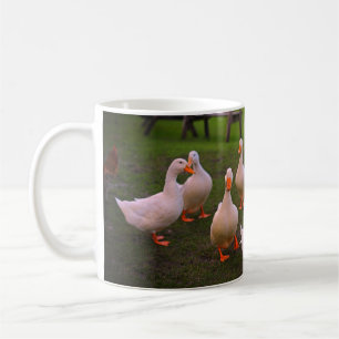 Anka i Park Funny Vi är alla Quackers Kaffemugg