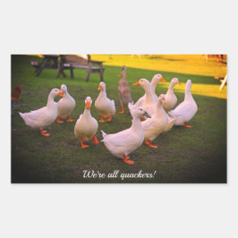Anka i Park Funny Vi är alla Quackers Rektangulärt Klistermärke