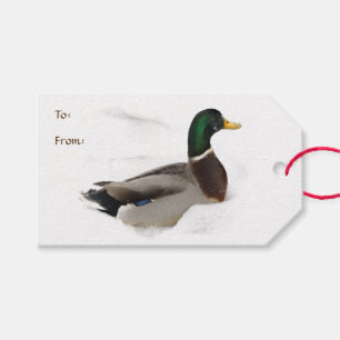 Anka i snöpacke av gåvamärkre presentetikett