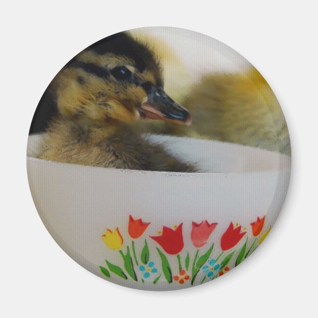 ANKA i TEKOPP 2 Magnet (Framsidan)