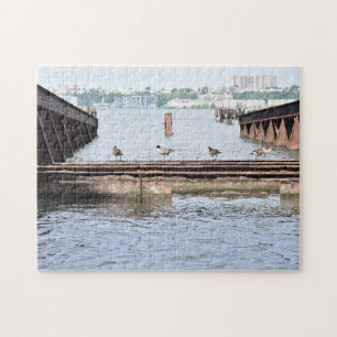Anka i tidningen Hudson River New York City Photog Pussel