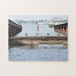 Anka i tidningen Hudson River New York City Photog Pussel