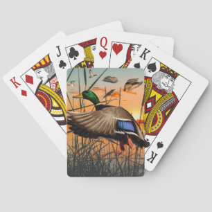 Anka-jaktkort, flygande Mallard Casinokort