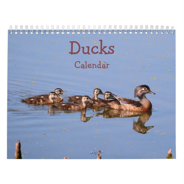 Anka Kalender (Omslag)