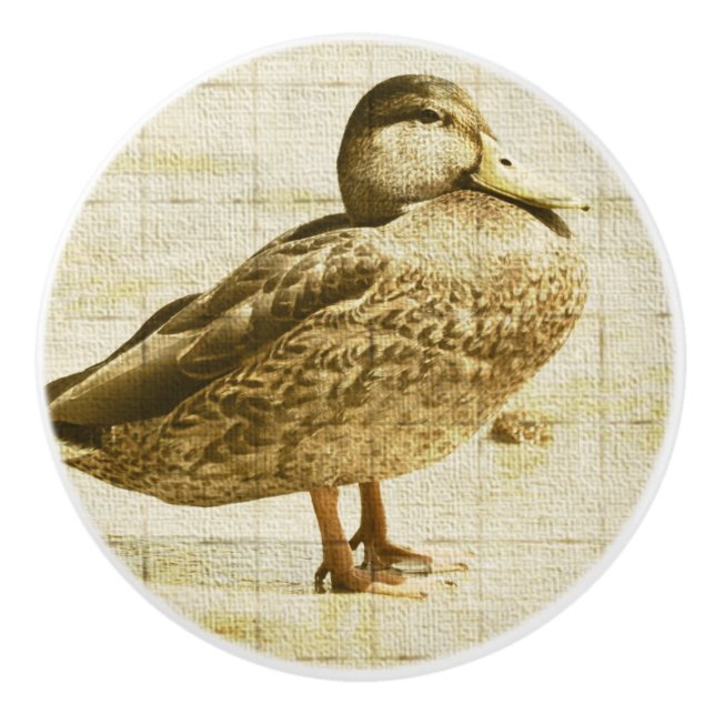 Anka keramisk knopp (Framsidan)