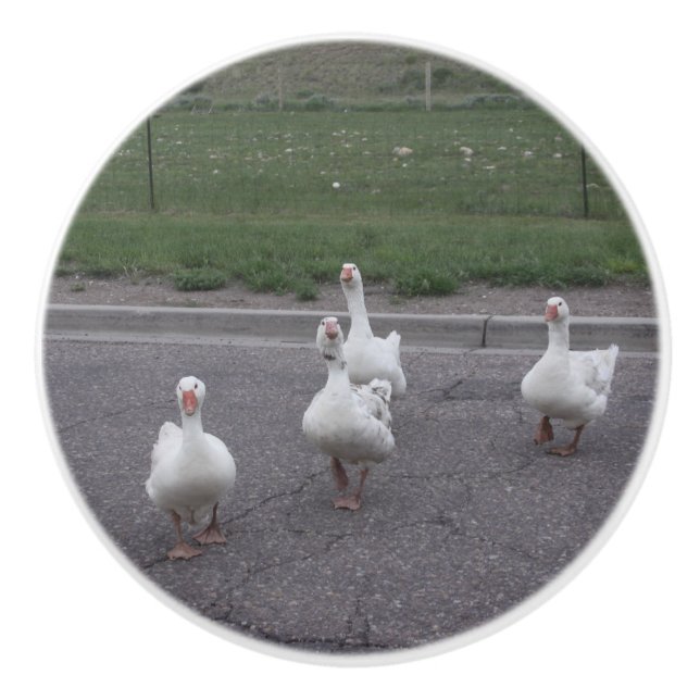 Anka keramisk knopp (Framsidan)