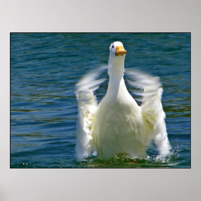 Anka klappning poster (Framsidan)