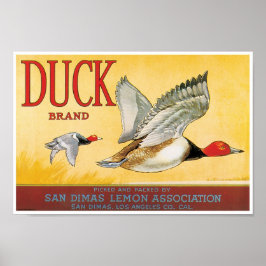 Anka Lemon San Dimas Los Angeles Kalifornien Poster