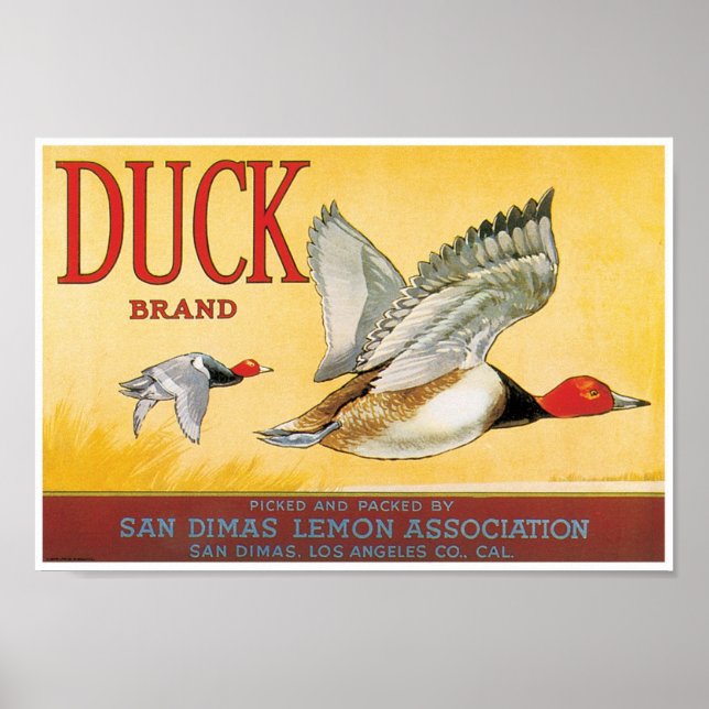 Anka Lemon San Dimas Los Angeles Kalifornien Poster (Framsidan)
