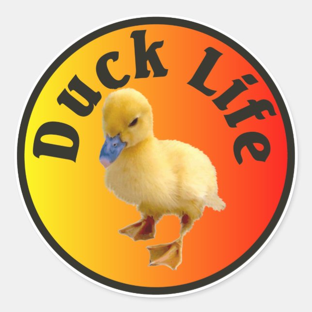 Anka Life Sticker Runt Klistermärke (Framsida)