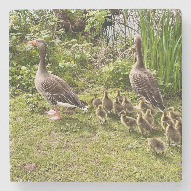 Anka liv. stenunderlägg (Framsidan)