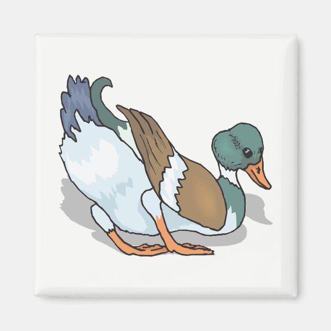 Anka Magnet (Framsidan)