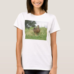 Anka Mallard Female Cute Nature Photo T Shirt