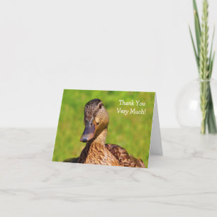 Anka Mallard Nature Tack Kort