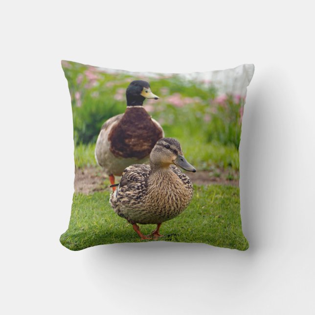 Anka Mallard Pair Kudde (Framsida)
