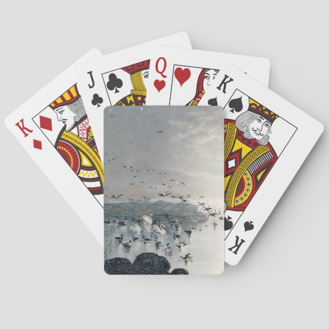 Anka, Mallards och Svanar vid solnedgången i sjö Casinokort (Baksidan)