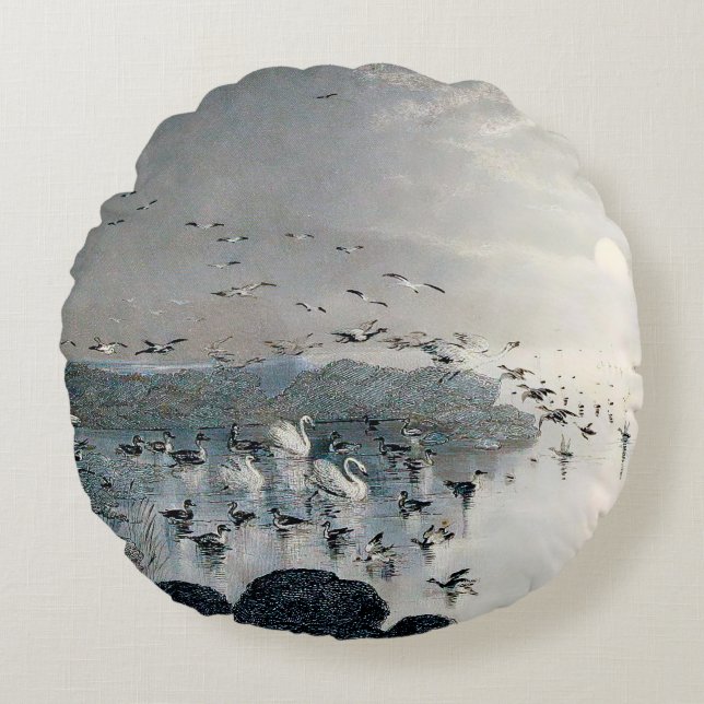 Anka, Mallards och Svanar vid solnedgången i sjö Rund Kudde (Framsidan)