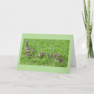 Anka med anklings kort