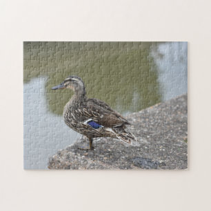 Anka med hjälp av Vatten fågelfotografi Pussel