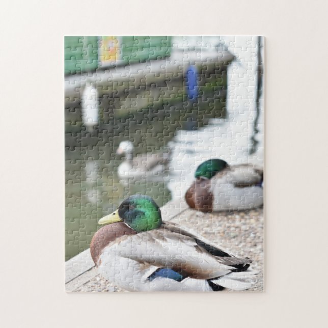 Anka med hjälp av Vatten fågelfotografi Pussel (Vertikal)