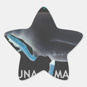 Anka med mig som den här och Hakuna Matata-texten Stjärnformat Klistermärke